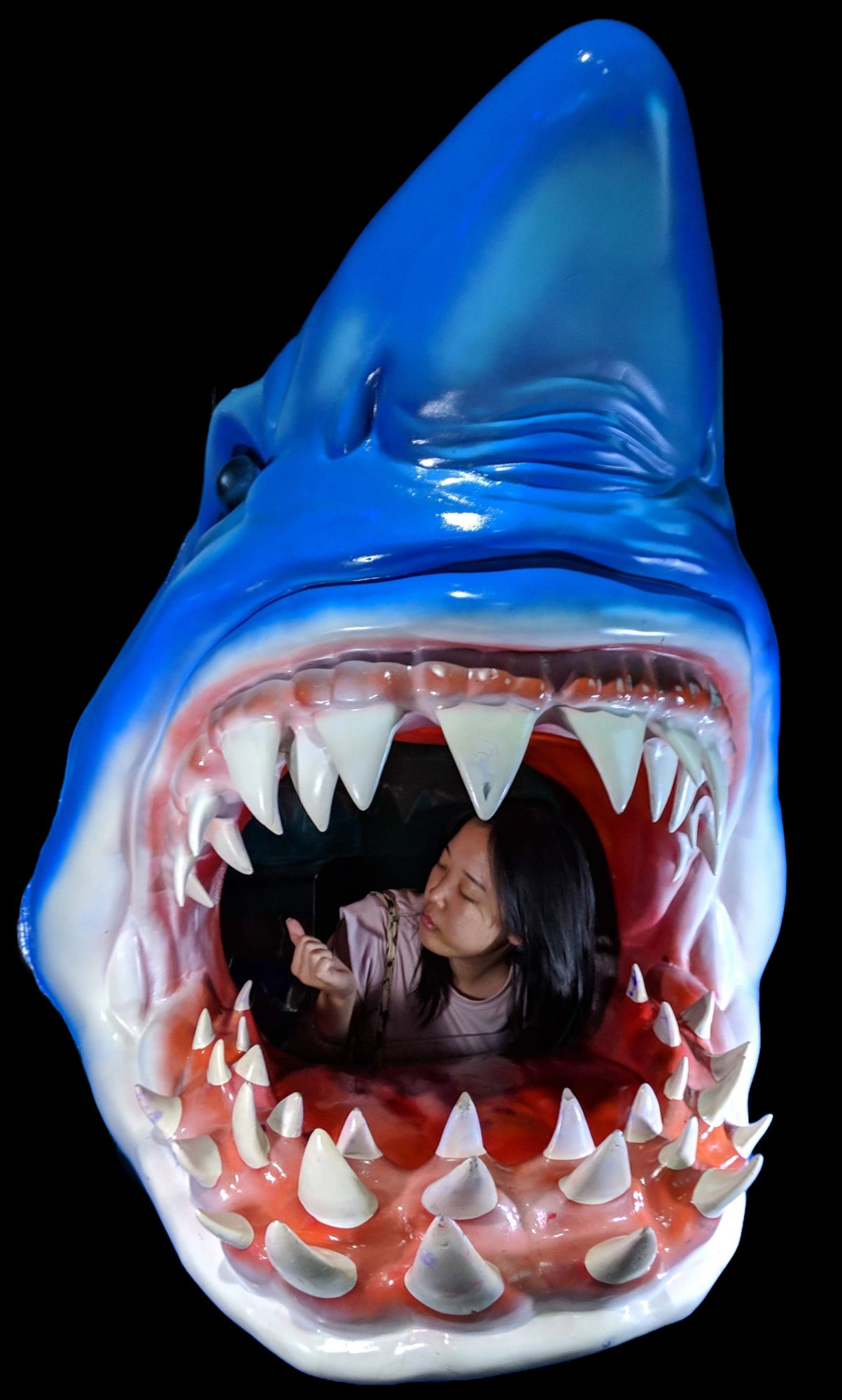 Rae inside Shark